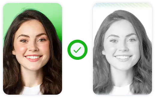 Face matched with ID document using facial biometrics