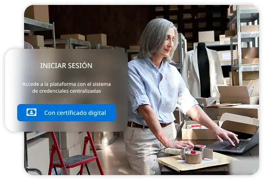 Accés segur a portals B2B amb certificat digital